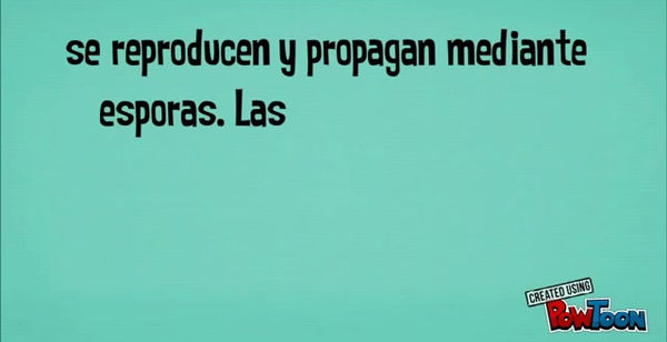 videoplayback